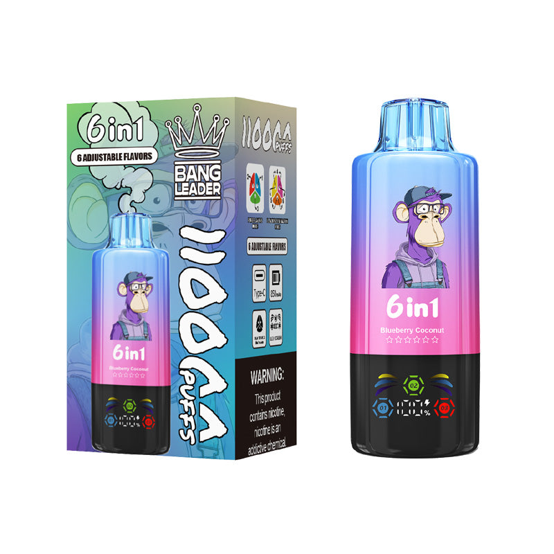 Bang Leader 110000 Puffs 6in1 Disposable Vape