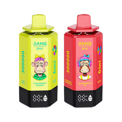 Bang Leader Stoll 300000 Puffs 6in1 Disposable Vape