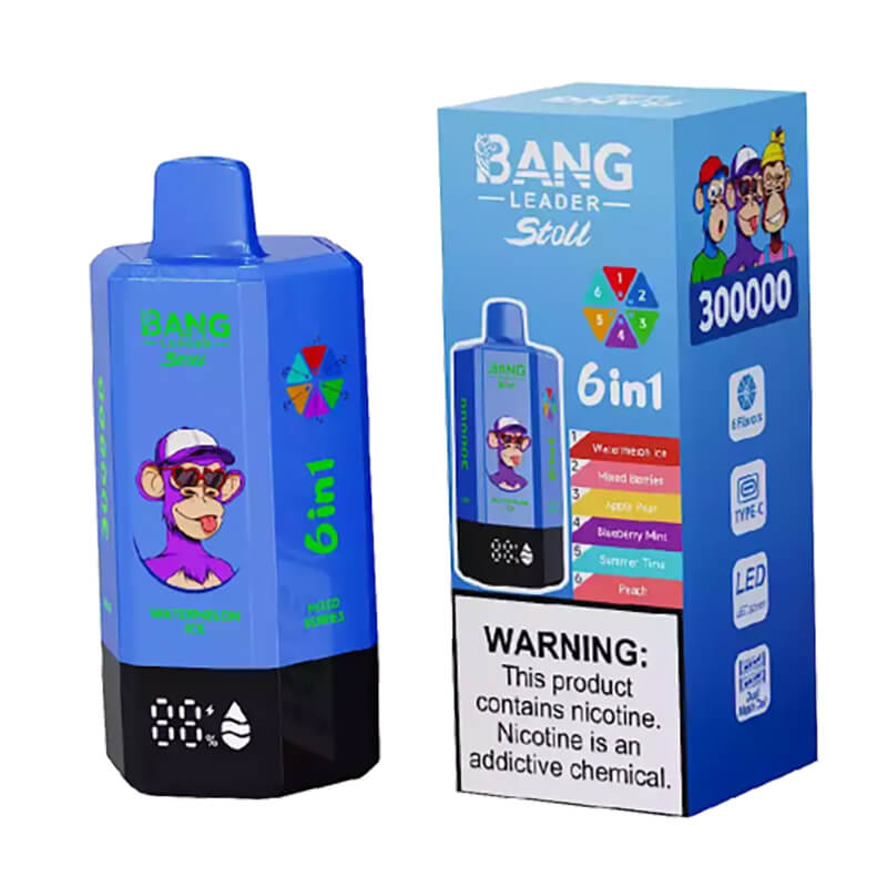 Bang Leader Stoll 300000 Puffs 6in1 Disposable Vape