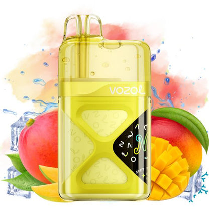 VOZOL NEON 60000 Puffs Disposable Vape