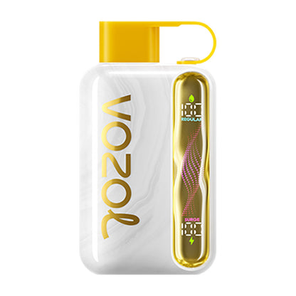 VOZOL Star 40000 Puffs Disposable Vape