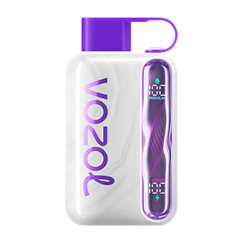 VOZOL Star 40000 Puffs Disposable Vape